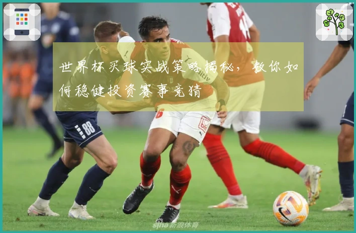 世界杯买球实战策略揭秘，教你如何稳健投资赛事竞猜