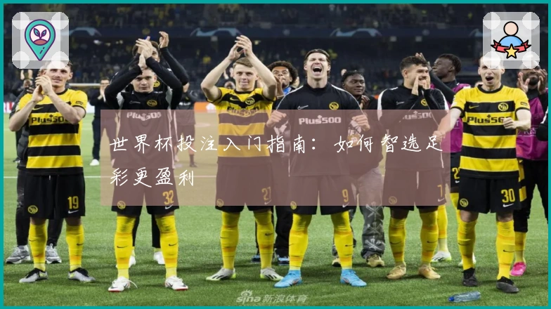 世界杯投注入门指南：如何智选足彩更盈利