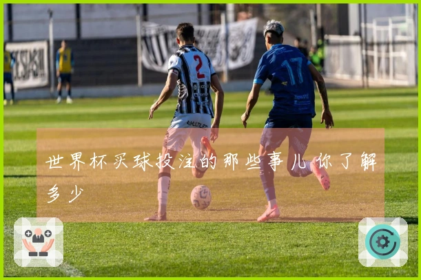 世界杯买球投注的那些事儿 你了解多少