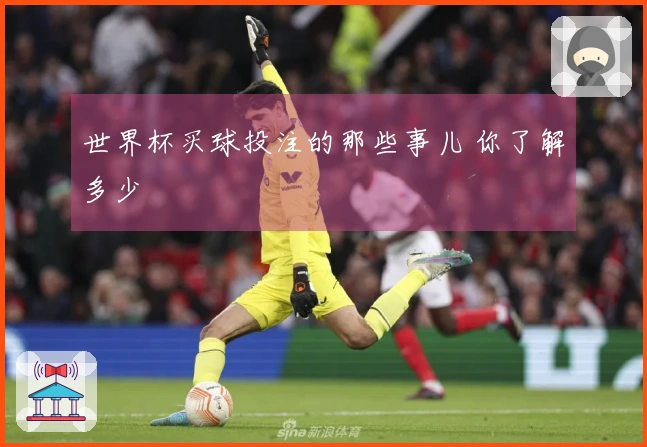 世界杯买球投注的那些事儿 你了解多少