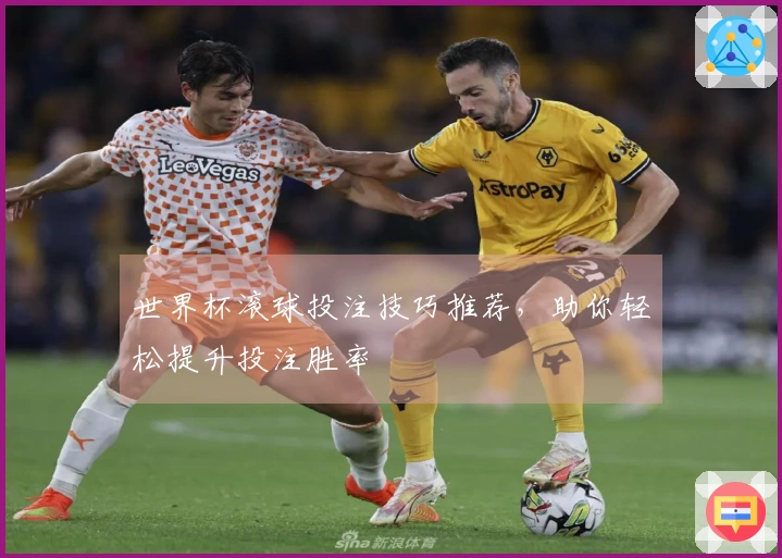 世界杯滚球投注技巧推荐，助你轻松提升投注胜率